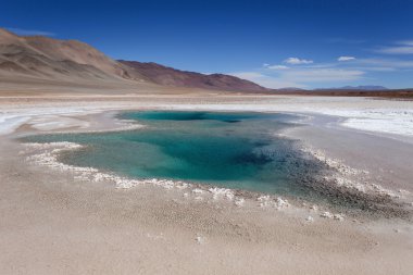 Deniz göz lagoon (Ojos del Mar), Salta, Argentina