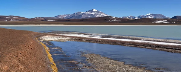 Lagoon Brava, La Rioja, Argentina — Stock Photo, Image