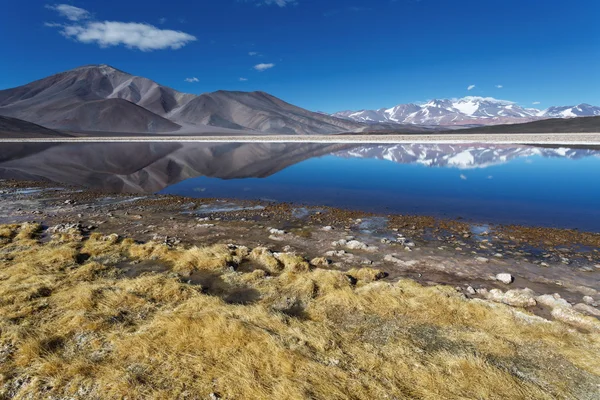 Sort lagune (Laguna Negra), vulkan Pissis, Catamarca, Argentin - Stock-foto