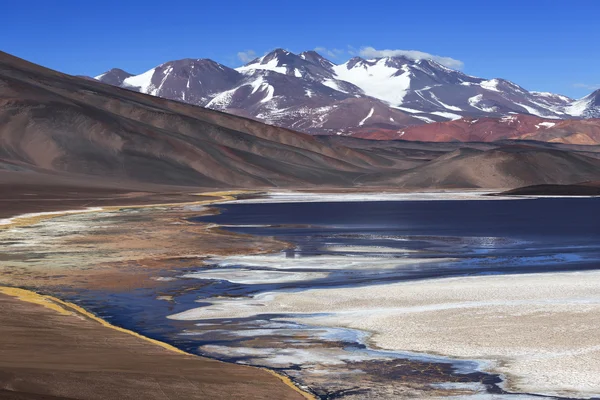 黑礁湖 (拉古娜 Negra)，火山 Pissis，卡塔马卡、 阿根廷 — 图库照片