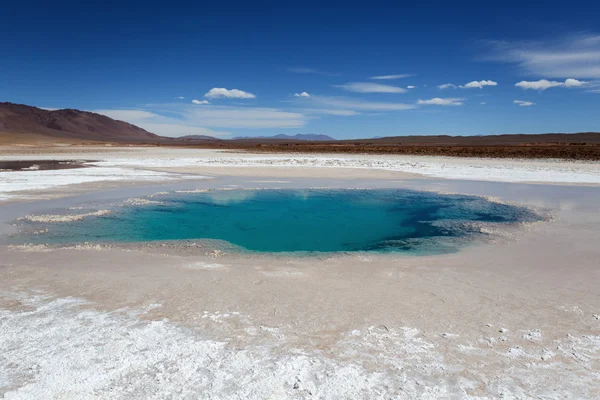 Sea Eye laguna (Ojos del Mar), Salta, Argentina — Stok Foto