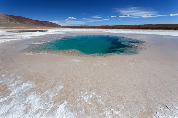 Sea Eye laguna (Ojos del Mar), Salta, Argentina — Stok Foto