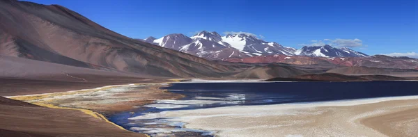 Svarta lagunen (Laguna Negra), vulkan Pissis, Catamarca, Argentin — Stockfoto