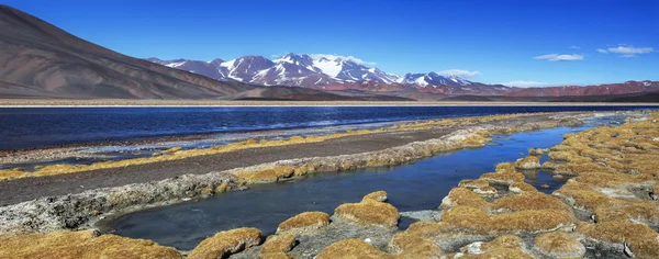 Lagoa negra (Laguna Negra), vulcão Pissis, Catamarca, Argentin — Fotografia de Stock