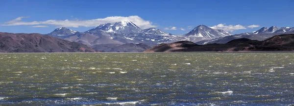 Groene lagune (Laguna Verde), vulkaan Pissis, Catamarca, Argentin — Stockfoto