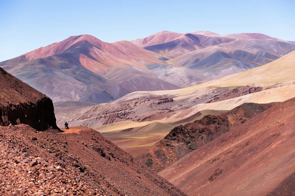 Bergsplatå Puna, norra Argentina — Stockfoto