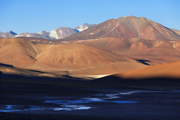 Bergsplatå Puna, norra Argentina — Stockfoto