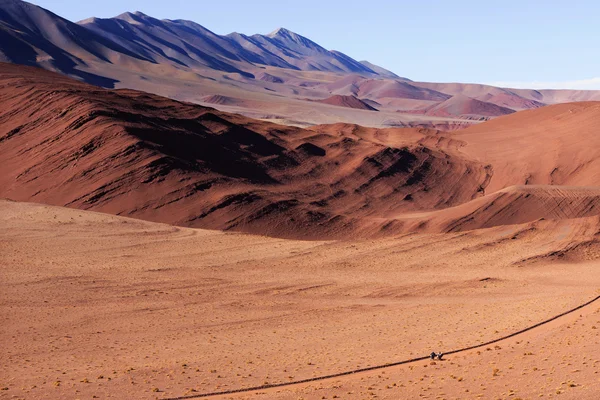 Kanion z diabłem, tolara Grande, Salta, Argentyna — Zdjęcie stockowe