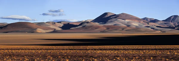 Mountain Plateau Puna, Norte da Argentina — Fotografia de Stock