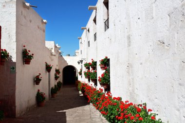 Manastırı Saint Catherine (Santa Catalina), Arequipa, başına