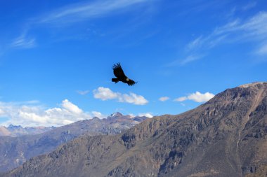 Dünyanın en derin kanyon Colca nedir