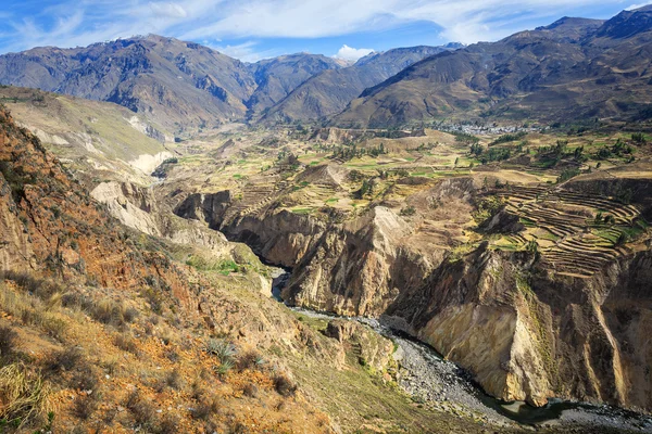 El cañón Colca es el más profundo del mundo — Foto de Stock