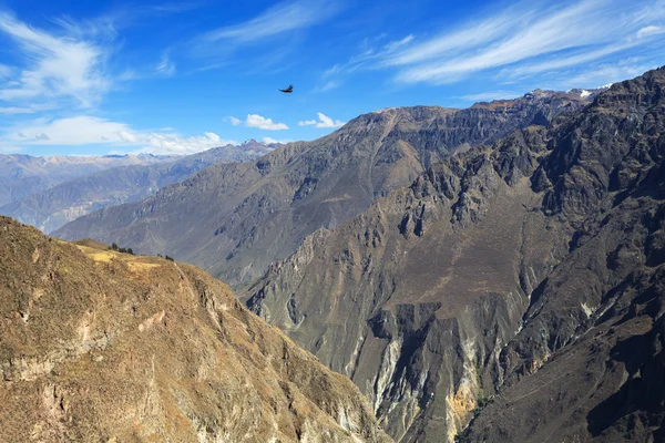 El cañón Colca es el más profundo del mundo — Foto de Stock