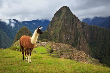 Machu Picchu, Peru, Unesco Dünya Mirası. Bir yeni S