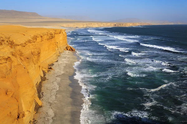 Park Narodowy Paracas, Peru — Zdjęcie stockowe