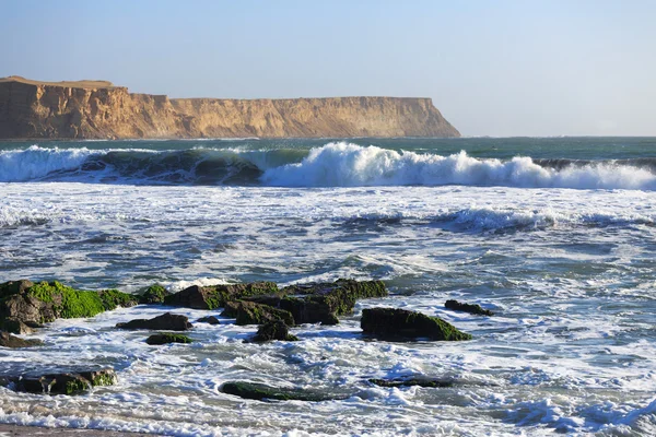 Park Narodowy Paracas, Peru — Zdjęcie stockowe