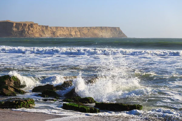 Park Narodowy Paracas, Peru — Zdjęcie stockowe