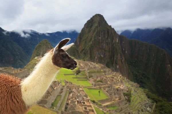 Machu Picchu, Peru, wpisanego na listę Światowego Dziedzictwa UNESCO. Jednym z nowych S — Zdjęcie stockowe