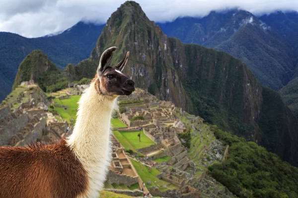 Machu Picchu, Peru, wpisanego na listę Światowego Dziedzictwa UNESCO. Jednym z nowych S — Zdjęcie stockowe