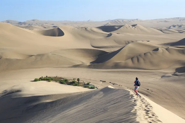 Desierto de Atacama, Oasis de Huacachina, Perú — Foto de Stock