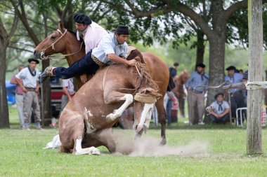 San Antonio De Areco, Buenos Aires, Arjantin - Kasım 29: Gauchos 