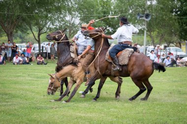 San Antonio De Areco, Buenos Aires, Arjantin - Kasım 29: Gauchos 
