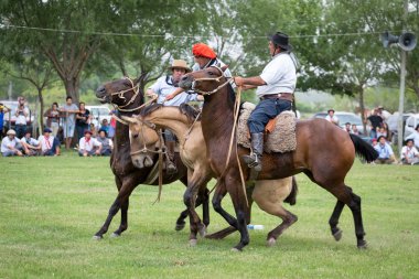 San Antonio De Areco, Buenos Aires, Arjantin - Kasım 29: Gauchos 