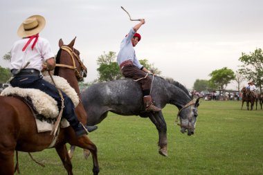 San Antonio De Areco, Buenos Aires, Arjantin - Kasım 29: Gauchos 
