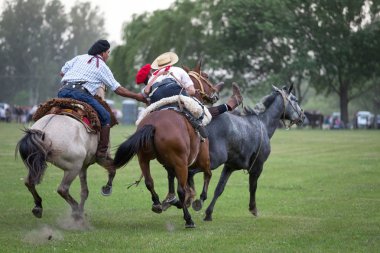 San Antonio De Areco, Buenos Aires, Arjantin - Kasım 29: Gauchos 