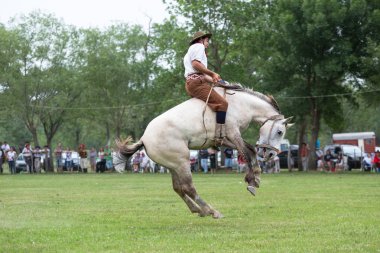 San Antonio De Areco, Buenos Aires, Arjantin - Kasım 29: Gauchos 
