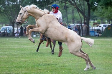 San Antonio De Areco, Buenos Aires, Arjantin - Kasım 29: Gauchos 