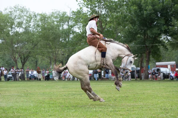 SAN ANTONIO DE ARECO, BUENOS AIRES, ARGENTINA - NOV 29: Gauchos — Stockfoto