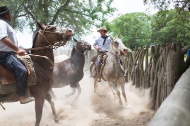 San Antonio De Areco, Buenos Aires, Arjantin - Kasım 29: Gauchos 