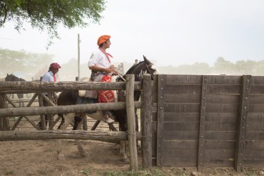 San Antonio De Areco, Buenos Aires, Arjantin - Kasım 29: Gauchos 