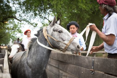 San Antonio De Areco, Buenos Aires, Arjantin - Kasım 29: Gauchos 