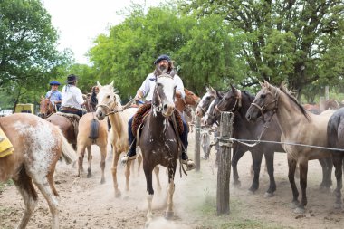 San Antonio De Areco, Buenos Aires, Arjantin - Kasım 29: Gauchos 