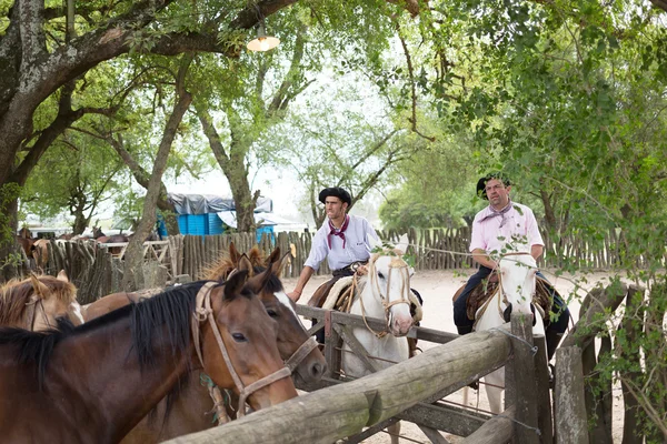 San Antonio De Areco, Buenos Aires, Arjantin - Kasım 29: Gauchos 