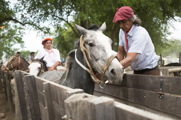 SAN ANTONIO DE ARECO, BUENOS AIRES, ARGENTINA - 29 NOV: Gauchos —  Fotos de Stock