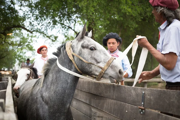 SAN ANTONIO DE ARECO, BUENOS AIRES, ARGENTINA - NOV 29: Gaúchos — Fotografia de Stock