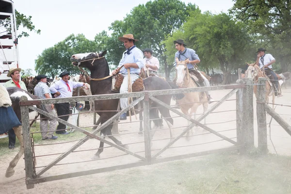 SAN ANTONIO DE ARECO, BUENOS AIRES, ARGENTINA - 29 NOV: Gauchos —  Fotos de Stock