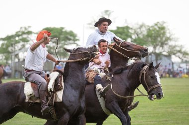 San Antonio De Areco, Buenos Aires, Arjantin - Kasım 29: Gauchos 