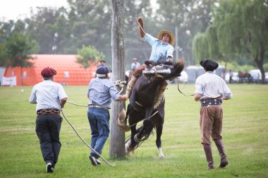 San Antonio De Areco, Buenos Aires, Arjantin - Kasım 29: Gauchos 