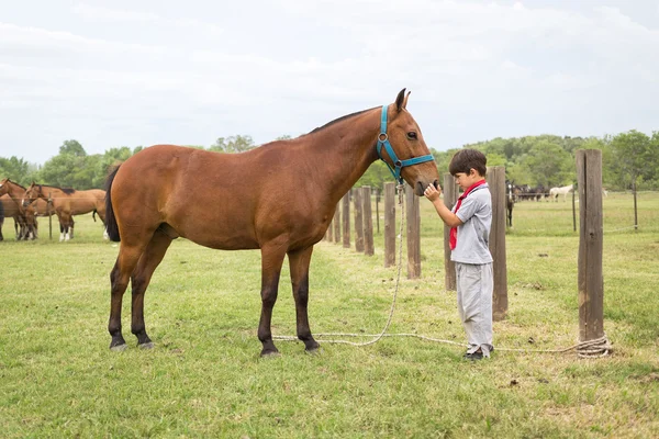 San Antonio De Areco, Μπουένος Άιρες, Αργεντινή - 29 Νοε: Gauchos — Φωτογραφία Αρχείου