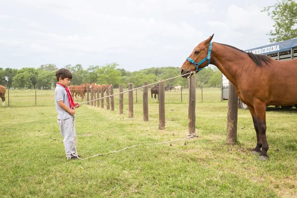 SAN ANTONIO DE ARECO, BUENOS AIRES, ARGENTINA - NOV 29: Gauchos — Stock Photo, Image