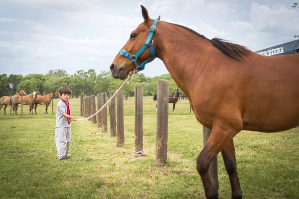 San Antonio De Areco, Buenos Aires, Argentina - 29 Nov: Gauchos — Foto Stock