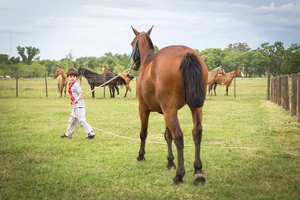 SAN ANTONIO DE ARECO, BUENOS AIRES, ARGENTINA - NOV 29: Gaúchos — Fotografia de Stock