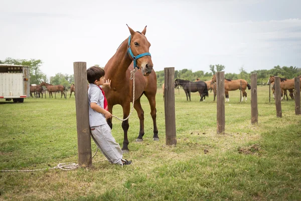 SAN ANTONIO DE ARECO, BUENOS AIRES, ARGENTINA - NOV 29: Gauchos — Stock Photo, Image