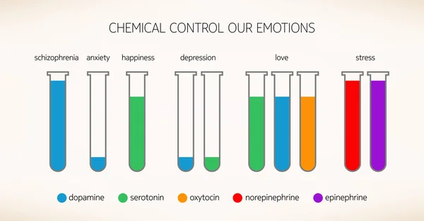 Chemicals that control our emotions — Stock Vector