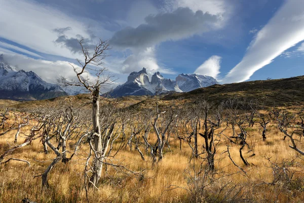 Εθνικό Πάρκο Torres del Paine, Παταγονία, Χιλή — Φωτογραφία Αρχείου