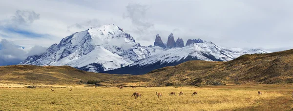 Torres del Paine Ulusal Parkı, Patagonya, Şili — Stok fotoğraf